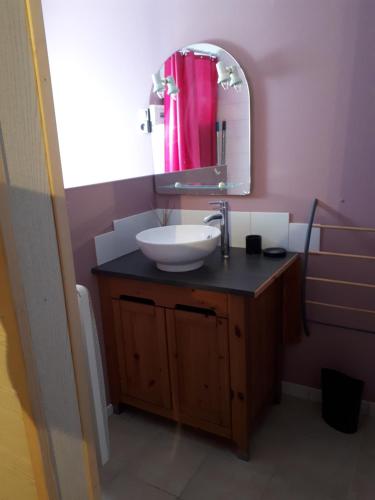 een badkamer met een wastafel en een spiegel bij Le clos des cigales les lauriers roses in Le Thoronet