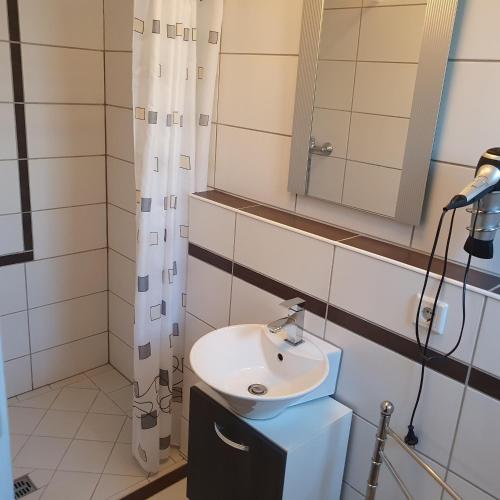 W łazience znajduje się umywalka i lustro. w obiekcie Zimmervermietung Fuchs, w Dreźnie