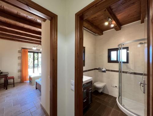 a bathroom with a shower and a sink and a toilet at Villa Zara in Almyrida