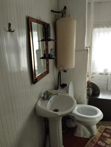 uma casa de banho com um WC, um lavatório e um espelho. em Guest house SONO adress Derbisheva 202 em Karakol