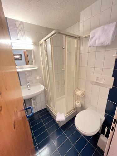La salle de bains est pourvue de toilettes, d'une douche et d'un lavabo. dans l'établissement Hotel Drei Könige, à Coire