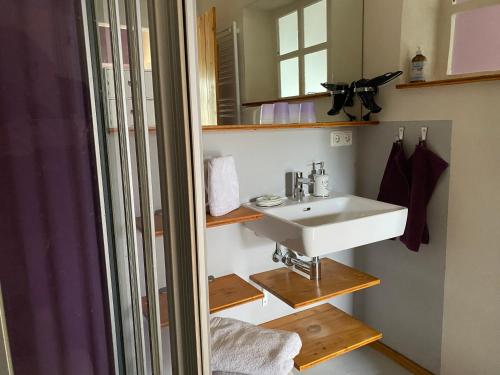 uma casa de banho com um lavatório e um espelho em Traubengarten Winkler em Niederhollabrunn