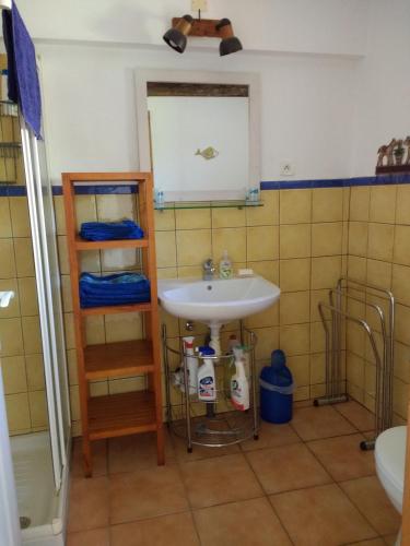 une salle de bain avec un lavabo et un miroir dans l'établissement Gîte Périssé, le petit Gîte, à Libaros