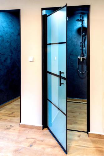 a glass door with a shower in a room at Vila Tess in Lázně Libverda