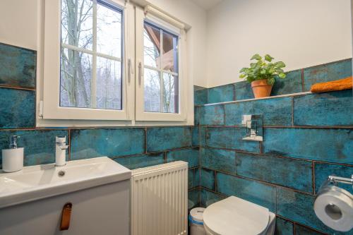 ein Badezimmer mit einem weißen Waschbecken und einem WC in der Unterkunft KARKONOSKIE CHATY in Szklarska Poręba