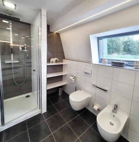 a bathroom with a shower and a toilet and a sink at schwimmendes Ferienhaus Sky in Elsterheide
