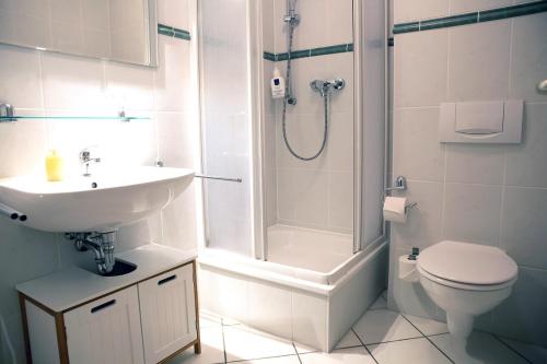 a bathroom with a sink and a shower and a toilet at Ferienwohnungen an den Salzwiesen in Boltenhagen