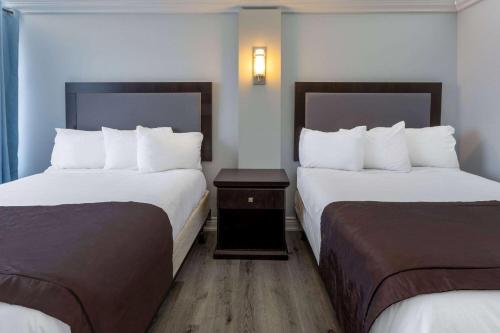 um quarto de hotel com duas camas e uma mesa de cabeceira em Travelodge by Wyndham Sarnia em Sarnia