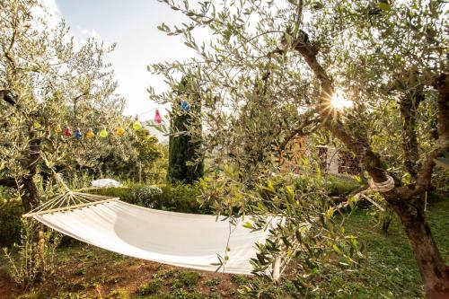 a hammock hanging between two trees in an orchard at Casetta di Butia, Gelsomino Apartment in Borgo a Mozzano