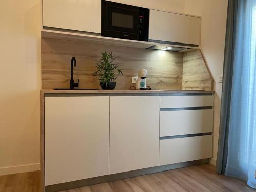 Kuchyň nebo kuchyňský kout v ubytování Cozy Loft Malaga Centre II