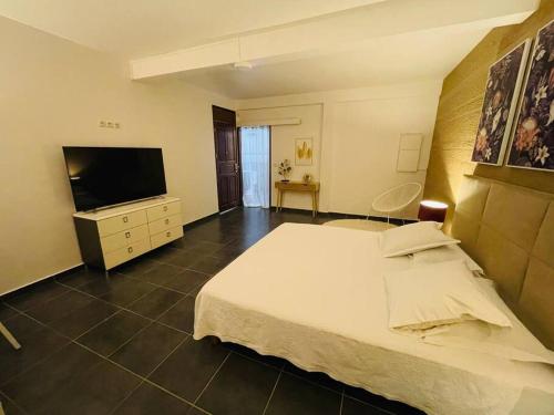 a bedroom with a large bed and a television at VILLA FRUIT A PAIN T2 in Cayenne