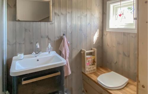 a bathroom with a sink and a toilet at Awesome Home In Aust-torpa With 2 Bedrooms in Aust-Torpa