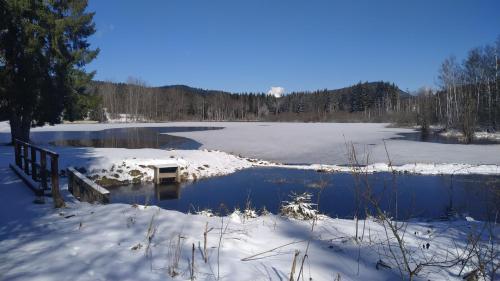 a frozen pond with snow on the ground at Penzion Zvon in Horní Stropnice