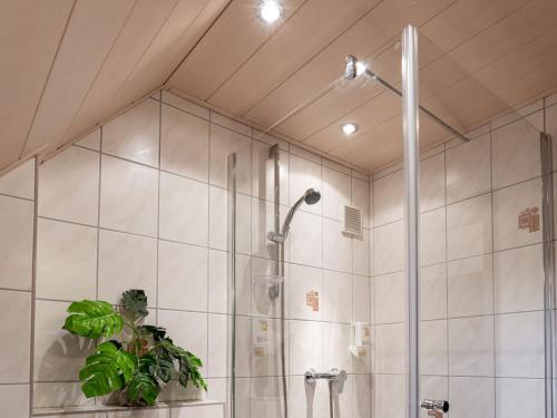 a shower stall with a plant in a bathroom at Kunibert, 120 qm in Stockach