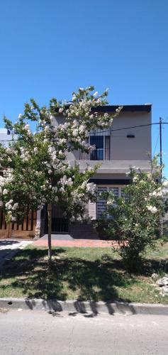 Nelly HOUSE – Photos 2
