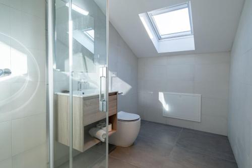 a bathroom with a toilet and a sink and a skylight at Edificio Santiago by Plaza Mayor Apartamentos in Valladolid