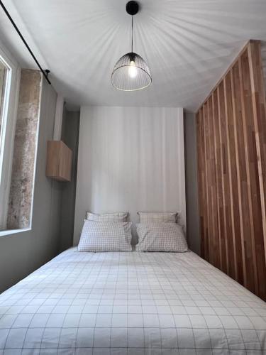 a bedroom with a large bed in a room at Le Petit Hernoux Centre historique in Dijon