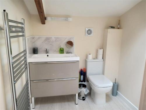 a bathroom with a sink and a toilet at Sandy cottage, nr Eden & beaches in St Austell