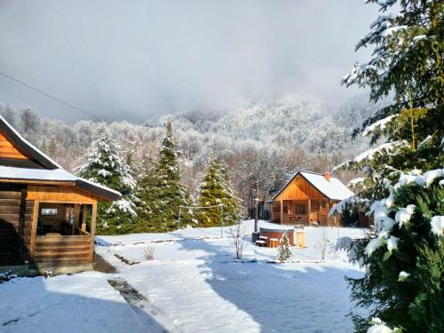 a cabin in the snow with trees and mountains at Stara Khata Карпати in Sheshory