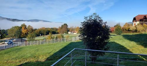 a view of a field with a fence and a tree at Lipnohaus in Horní Planá