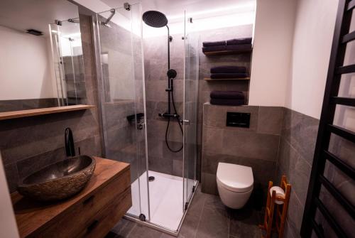a bathroom with a shower and a sink and a toilet at Horský apartmán Cihlářka in Cerny Dul