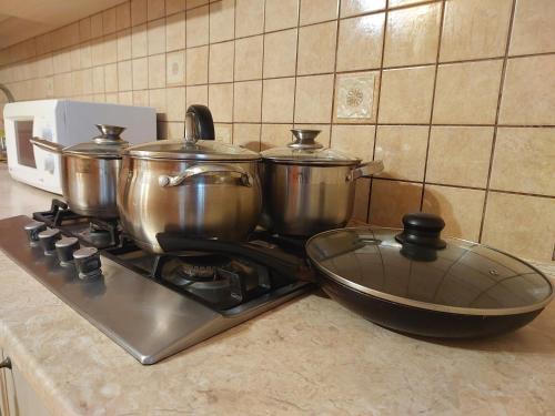 TeremnoにあるКвартира Кравчука 11Б, автостанціяの台所の鍋三鍋