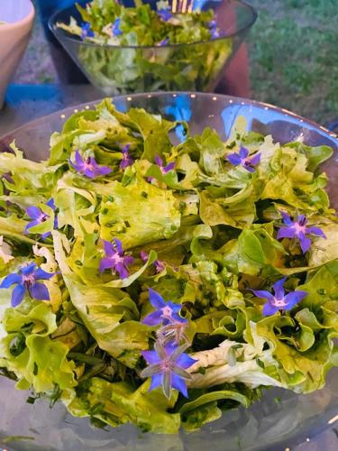 a bowl of lettuce with purple flowers on it at Domaine de Séguéla in Fargues