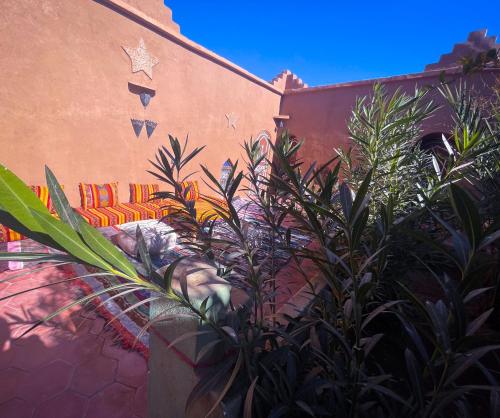 a building with some plants in front of it at Dar Yaya in Mhamid