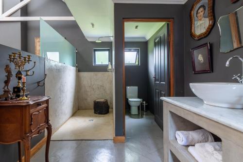 a bathroom with a sink and a shower with a toilet at Festina Lente Guesthouse in Johannesburg