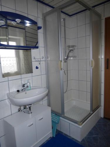y baño con lavabo y ducha. en Apartment Rumrich, en Kurort Altenberg