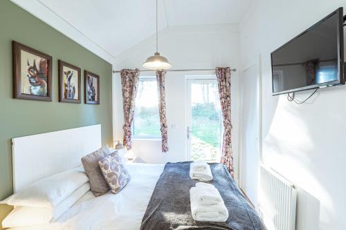 a bedroom with a bed and a tv and a window at Squirrel Lodge 42 with Hot Tub in Newton Stewart