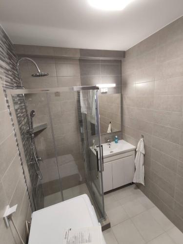a bathroom with a shower and a sink at Gyöngy Apartmanház in Kaposszekcső