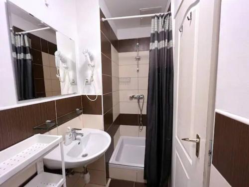 布達佩斯的住宿－A4 Parliament Sunflower Cozy Apartment，一间带水槽、卫生间和淋浴的浴室