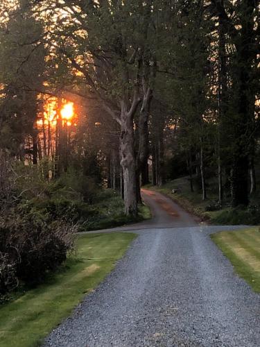 a road with a tree on the side of it at The Skreen in Builth Wells