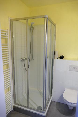 uma cabina de duche em vidro numa casa de banho com WC em Gasthaus zur Ostbahn em Müncheberg