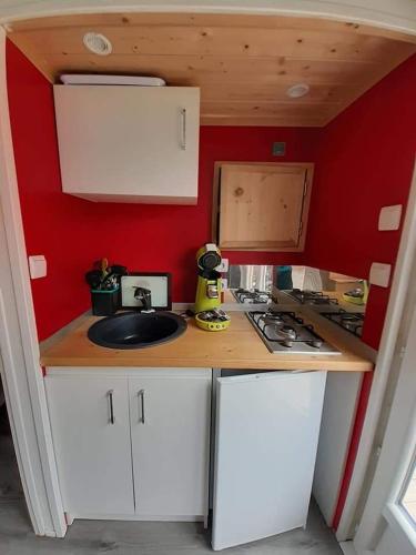 Dapur atau dapur kecil di Tiny House JOY