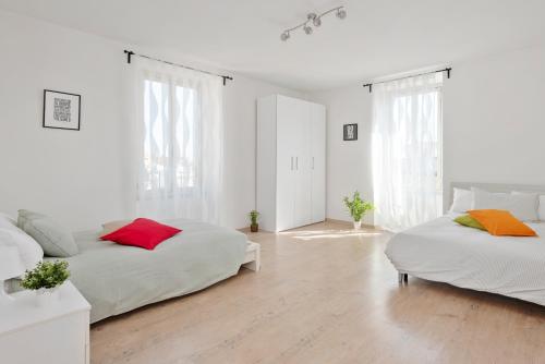 Large and central comfortable apartment