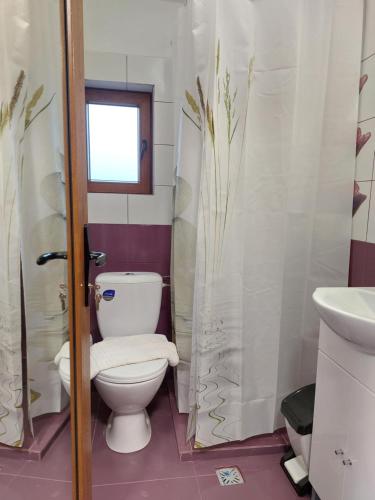 a bathroom with a toilet and a sink at Casa Calea Haiducilor in Sohodol