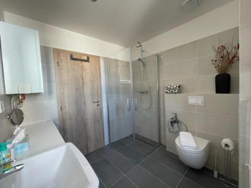 ロウチュナー・ポト・クリーノヴツェムにあるKLINOVEC APARTMENTS LUXURYのバスルーム(シャワー、トイレ、シンク付)