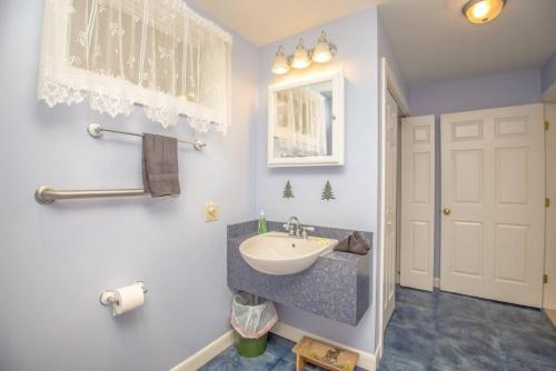 La salle de bains est pourvue d'un lavabo et d'un miroir. dans l'établissement The Hive Newly Renovated Chic Farmhouse and Barn, à Bolsters Mills