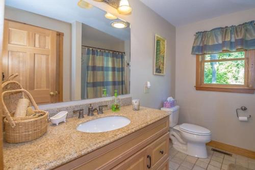 a bathroom with a sink and a toilet at The Hive Trailside At Pleasant Mnt Ski Area in Bridgton