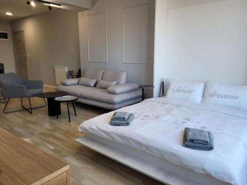 a bedroom with a large bed and a couch at BS Apartment in Skopje