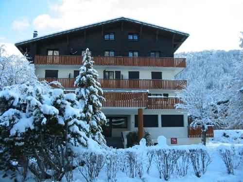 Appartement 2 pièces proche du centre de Morzine, animaux admis