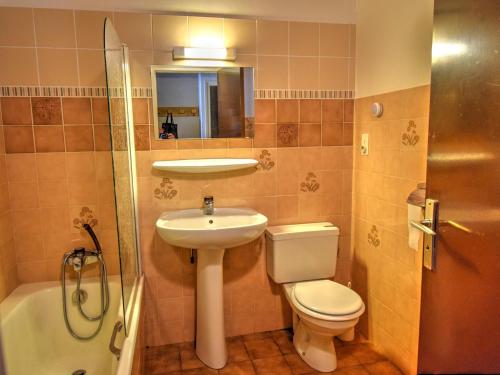 une salle de bain avec un lavabo, des toilettes et une douche dans l'établissement Studio cosy avec mezzanine, centre de Morzine, proche pistes, parking couvert - FR-1-524-52, à Morzine