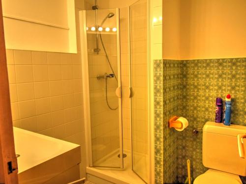 une salle de bain avec douche et toilettes dans l'établissement Charmant Studio au Centre de Morzine - Proche Pistes, Balcon, Cheminée, Wifi - FR-1-524-69, à Morzine