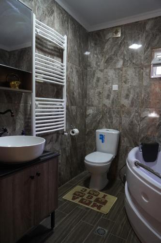 La salle de bains est pourvue de toilettes et d'un lavabo. dans l'établissement Villa ,,GELATI'', à Motsameta