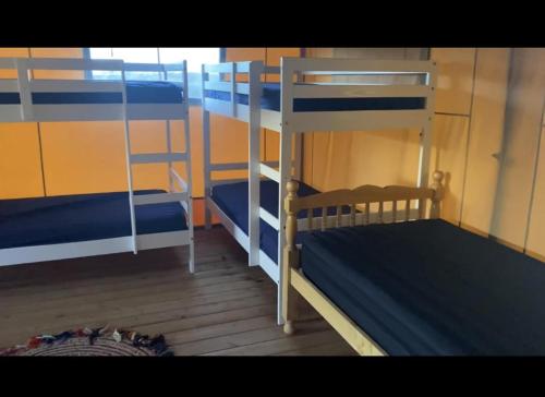 レクサムにあるArcadia Safari Tent in private 5 acre fieldの二段ベッド2組が備わる客室です。
