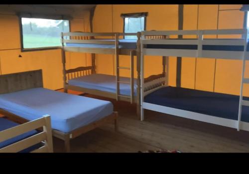 Μία ή περισσότερες κουκέτες σε δωμάτιο στο Arcadia Safari Tent in private 5 acre field