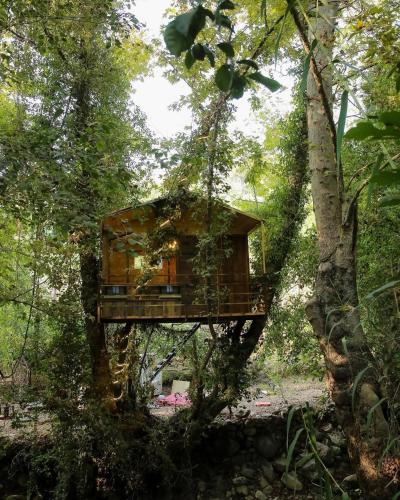 Nomads Nature & Nurture – Photos 2