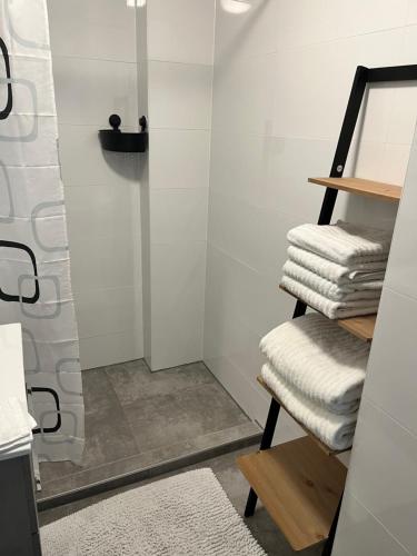 a bathroom with a shower and a stack of towels at ‘T Singeltje in Leiden